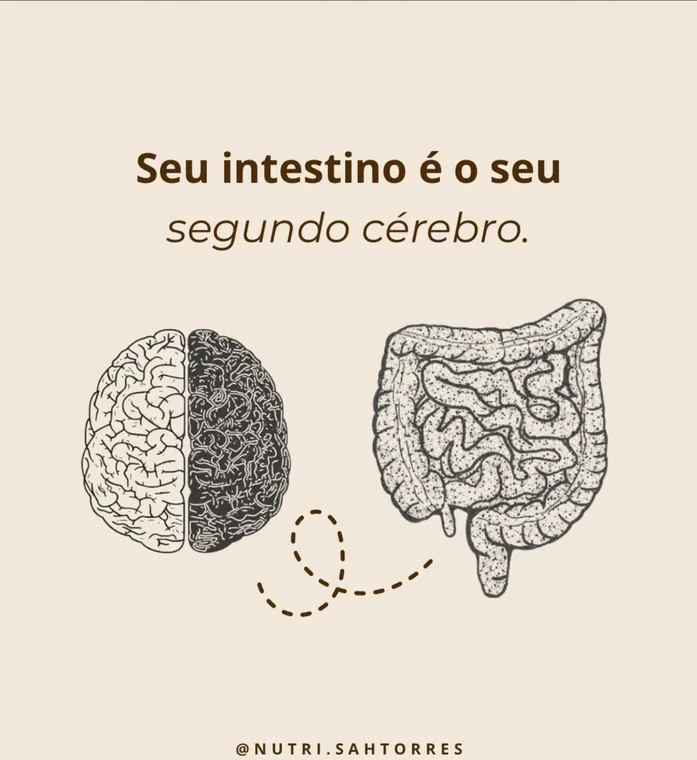 Post com ilustração de um cérebro e de um intestino ligados por uma linha tracejada, sob o texto: seu intestino é o seu segundo cérebro.